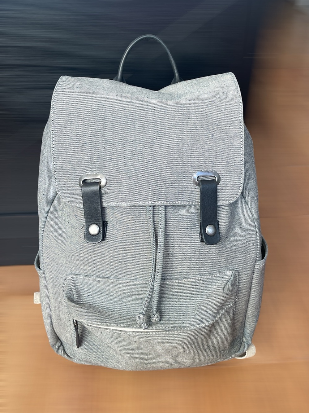Everlane Gray Iridescent Reflective Canvas Snap Backpack Laptop School